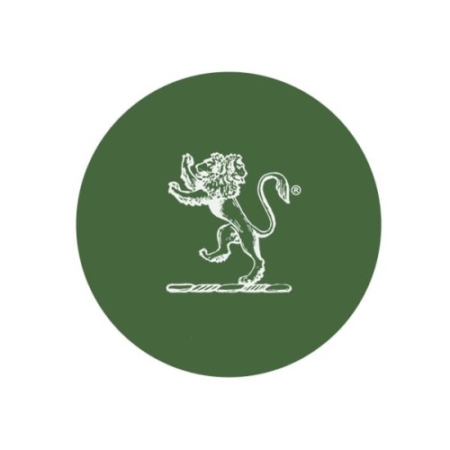 Pigment ceramiczny 6206 Grass Green