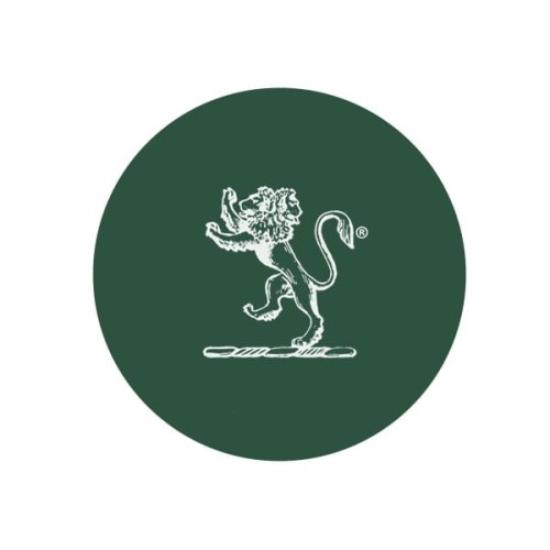 Pigment ceramiczny 6255 Jade Green