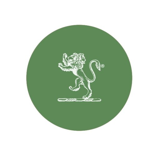 Pigment ceramiczny 6204 Victoria Green