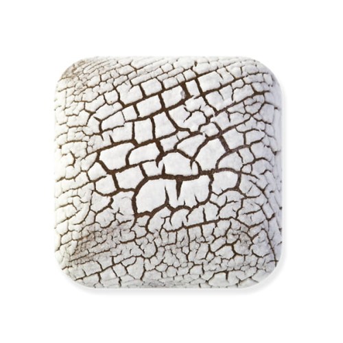 Szkliwo DL-100 FOSSIL WHITE