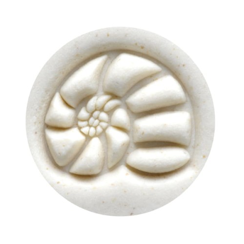 Tonstempel Nautilus von MKM Pottery Tools - 1240.design