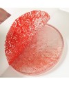 Gelli Arts Gel Printing Plate Round 10 cm - 1240.design