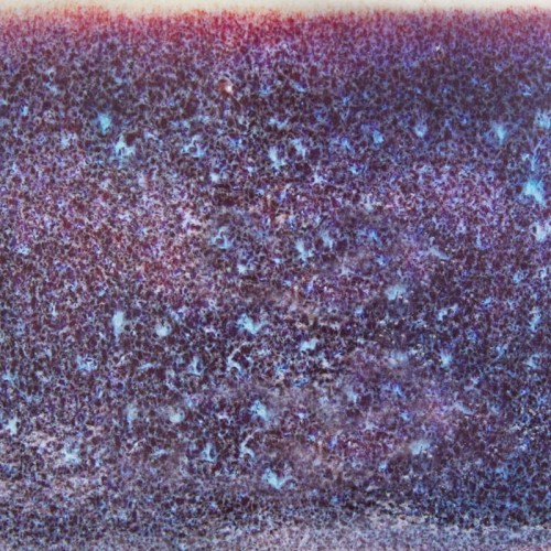 Glazura Speedball 2134 Galaxy Mist – 1240.design