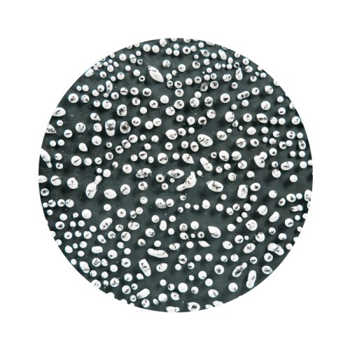 AMACO CR-12 Speckled White Steinzeug-Glasur - 1240.design