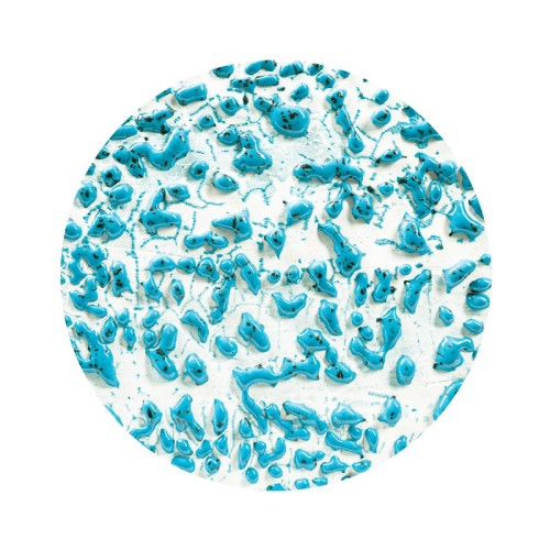 AMACO CR-22 Speckled Teal Steinzeug-Glasur - 1240.design