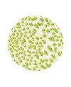 Glazura AMACO CR-41 Lime - 1240.design