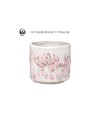 Glazura AMACO CR-51 Speckled Pink - 1240.design