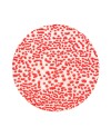 AMACO CR-58 Red Steinzeug-Glasur - 1240.design