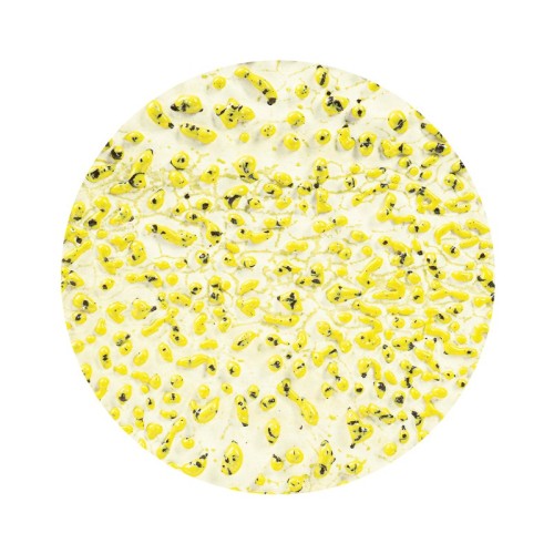 Glazura AMACO CR-61 Speckled Yellow - 1240.design