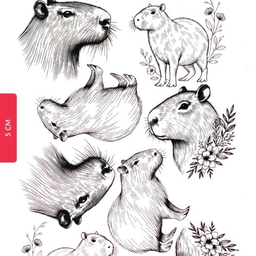 Capybara ceramic transfer - 1240.design