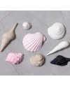 Creativ Company Conch and shells Silicone Mould - 1240.design