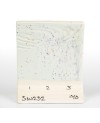 Mayco SW-232 Baby Blue Speck stoneware glaze - 1240.design