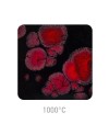 Glazura Mayco Jungle Gems CG-779 Black Opal - 1240.design