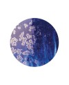 Kristallglasur Amaco Cosmos CO-24 Blue Starlight