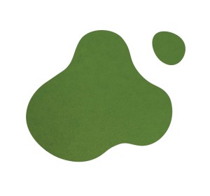 Podglazurní barva Kiwi Meadow Green - 1240.design