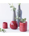 Botz Pro 9620 Ruby Red Ceramic Glaze
