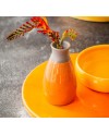 Botz Pro 9308 Carnelian Yellow Ceramic Glaze