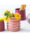 Botz Pro 9307 Pearl Pink Ceramic Glaze